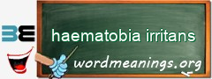 WordMeaning blackboard for haematobia irritans